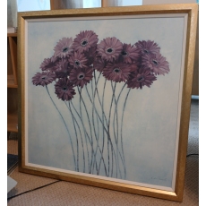 Gerbera Daisies