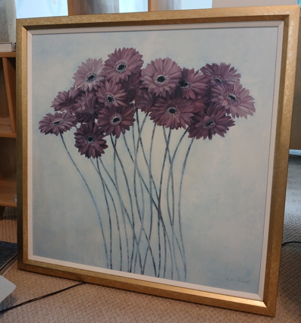 Gerbera Daisies